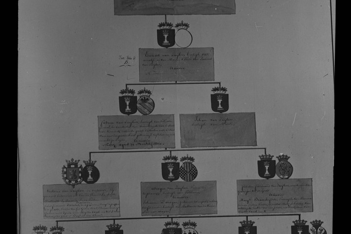 Glasnegatief van foto van producten uit de Cuypers' Kunstwerkplaatsen uit kist met nummer 24: "Afbeelding van een stamboom".