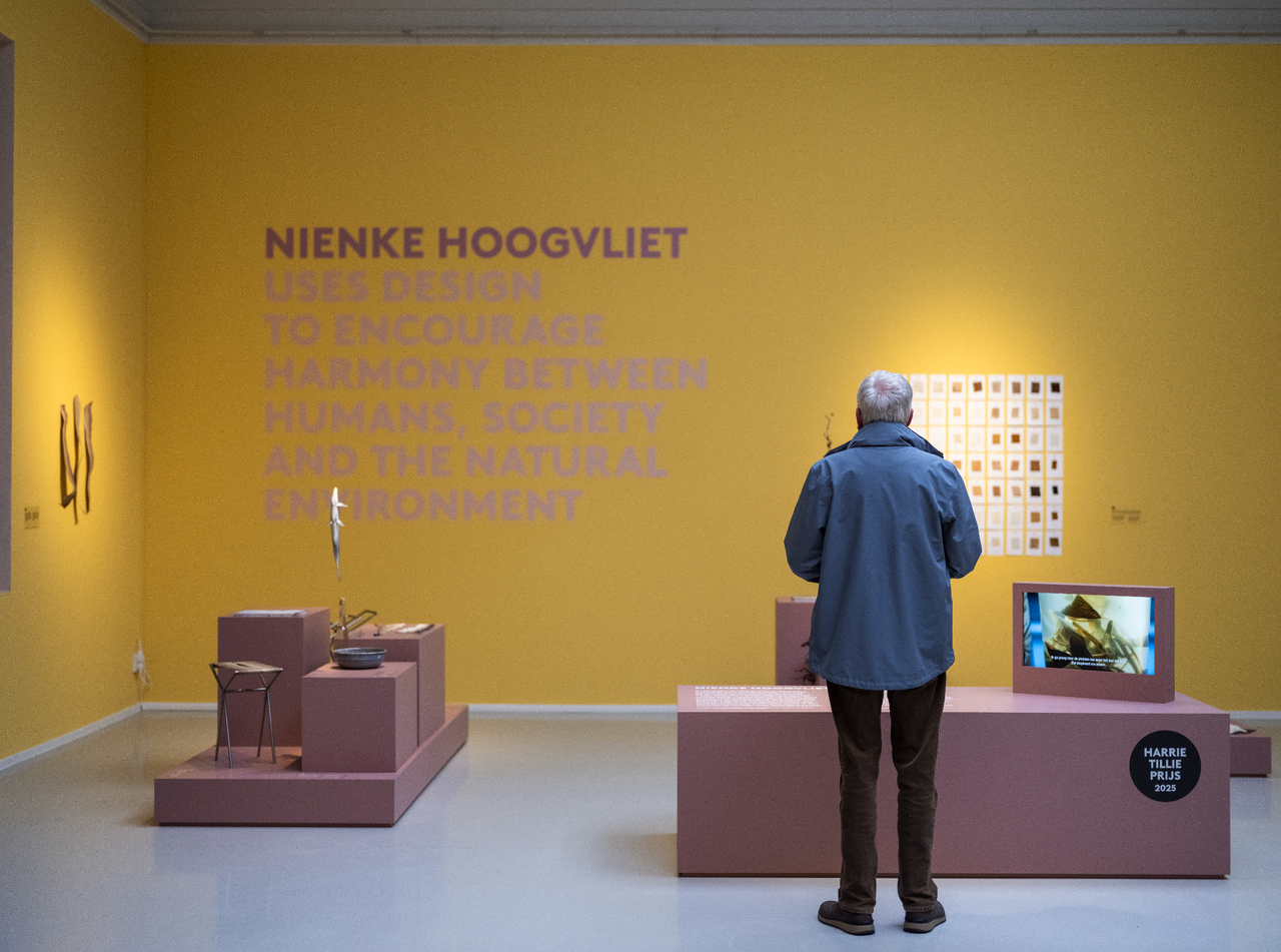 Nienke-hoogvliet.png