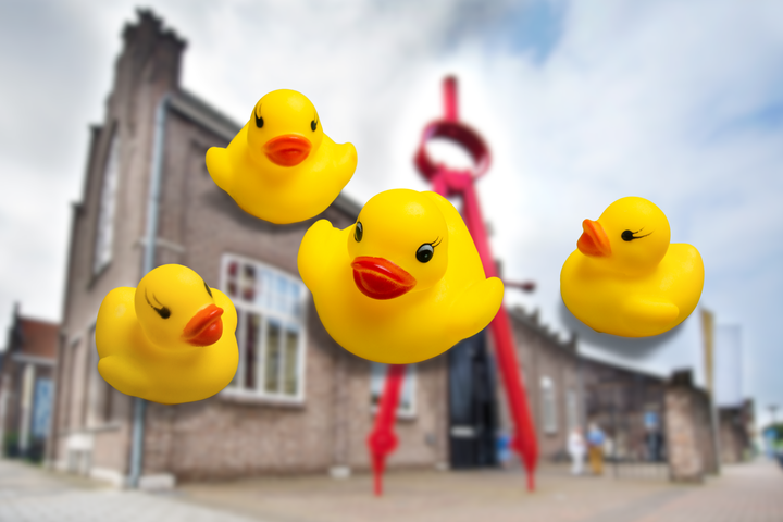 Vertelactiviteit: Het lelijke jonge eendje